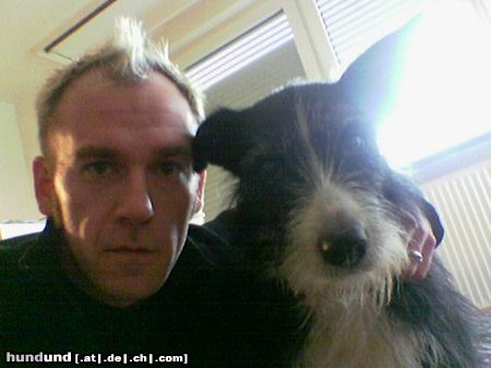 Riesenschnauzer Hunde Foto 24601 Riesenschnauzer Bonny hat Geburtstag