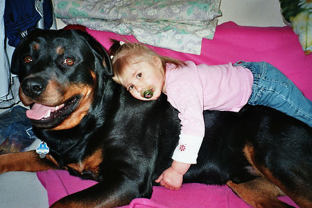 Rottweiler Hunde Foto 35284 in höherer Auflösung ansehen Rottweiler Dreamteam Max und Emely