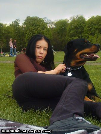 Rottweiler Hunde Foto 16389 in höherer Auflösung ansehen Rottweiler mein jimmy