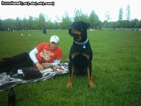 Rottweiler Hunde Foto 16391 in höherer Auflösung ansehen Rottweiler mein jimmy