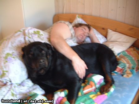 Rottweiler Hunde Foto 18832 in höherer Auflösung ansehen Rottweiler Herrchen ist müde