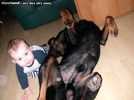 Rottweiler Hunde Foto 11397 Rottweiler Tyson mit unserem Sohnemann