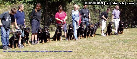 Rottweiler Hunde Foto 18775 Rottweiler Zuchtgruppe