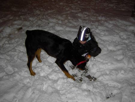 Rottweiler Kira und mein Enkel