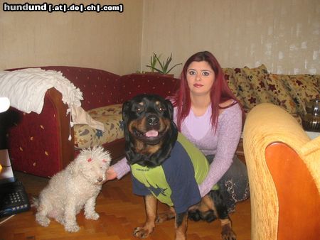 Rottweiler FAMILIENFOTO VON UNS