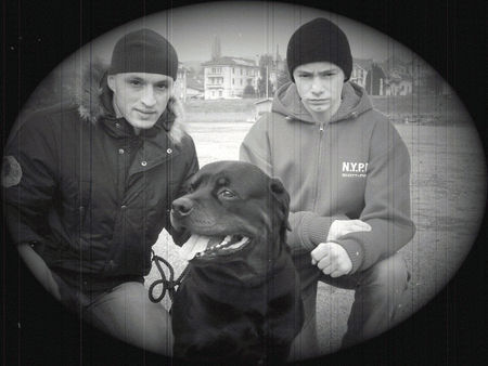 Rottweiler Hunde Foto 34227 in höherer Auflösung ansehen Rottweiler KING from SHAR