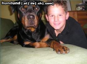 Rottweiler Hunde Foto 20260 Rottweiler Mein Rottweiler Bonita und isch