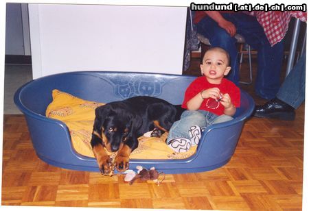 Rottweiler Hunde Foto 10781 Rottweiler cisco und gigio 03