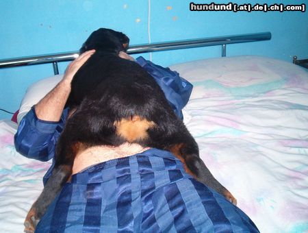 Rottweiler Hunde Foto 20424 Rottweiler Ich liebe Mein Herrchen