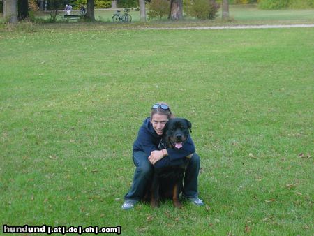 Rottweiler Hunde Foto 16724 Rottweiler wir sind unzertrennlich!