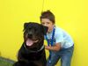Rottweiler Foto: KING from SHAR&Velid (ID 35881) Rottweiler Hund