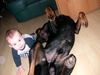 Rottweiler Foto: Tyson mit unserem Sohnemann (ID 11397) Rottweiler Hund