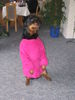Rottweiler Hund