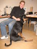 Rottweiler Foto: Atos (6 Monate) (ID 36305) Rottweiler Hund