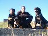 Rottweiler Foto: Soraja+Sheila+Spike (ID 16148) Rottweiler Hund