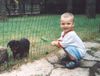 Rottweiler Foto: Freunde (ID 5695) Rottweiler Hund