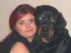 Rottweiler Foto: MAMA UND ICH (ID 19086) Rottweiler Hund