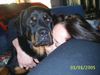 Rottweiler Foto: Sheila & Frauchen beim Schmusen (ID 18038) Rottweiler Hund