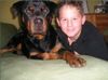 Rottweiler Foto: Mein Rottweiler Bonita und isch (ID 20260) Rottweiler Hund