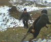 Rottweiler Foto: der nudi lasst spielen (ID 9795) Rottweiler Hund