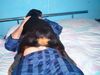 Rottweiler Foto: Ich liebe Mein Herrchen (ID 20424) Rottweiler Hund