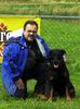 Rottweiler Foto: Arno von Griechenberg/W.H. 66,5cm/fünffacher Championat, 2 mal Weltsieger und einmal Europasieger. Rüde zum Decken (ID 3248) Rottweiler Hund
