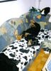 Rottweiler Hund