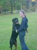 Rottweiler Foto: bald bin ich so groß wie's Frauchen! (ID 16226) Rottweiler Hund