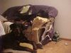 Rottweiler Foto: du, lasst uns nie wieder allein!!! (ID 22725) Rottweiler Hund