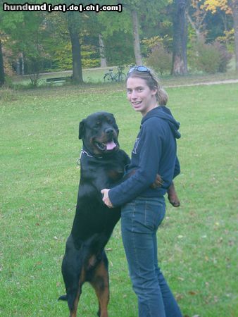 Rottweiler Hunde Foto 16226 Rottweiler bald bin ich so groß wie's Frauchen!