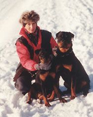 Rottweiler Hunde Foto 1384 Rottweiler Winter 2001