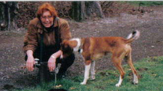 Posavski Gonic Hunde Foto 43184 Posavski Gonic Max und Frauchen