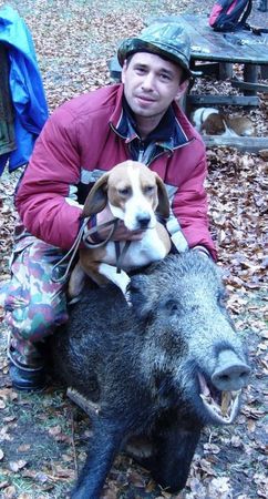 Posavski Gonic Hunde Foto 41283 Posavski Gonic darko jovanov huntcop,vinica makedonija