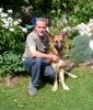 Deutscher Schäferhund Brauner langhaariger Schlag Foto: Ein starkes Team (ID 8045) Deutscher Schäferhund Brauner langhaariger Schlag Hund