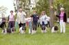 Schapendoes Foto: The best kennel of schapendoes in france (ID 6191) Schapendoes Hund