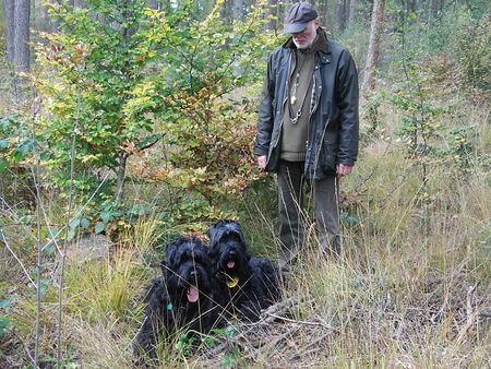 Russischer Schwarzer Terrier Waldgenuss mit Taika u.Zeus