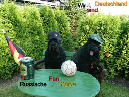 Russischer Schwarzer Terrier Ohne Worte