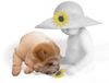 Shar Pei Foto: only the color is different (ID 12573) Shar Pei Hund