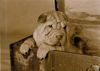 Shar Pei Foto: Odin (ID 11186) Shar Pei Hund
