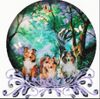 Sheltie Foto: Unsere 3 Shelties (ID 12512) Sheltie Hund