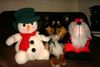 Sheltie Foto: Weihnachten rechts und links (ID 17108) Sheltie Hund