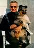 Sheltie Foto: Mein ganz Lieber Merlin und ich (ID 1823) Sheltie Hund
