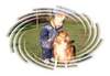 Sheltie Foto: wir haben uns lieb (ID 982) Sheltie Hund