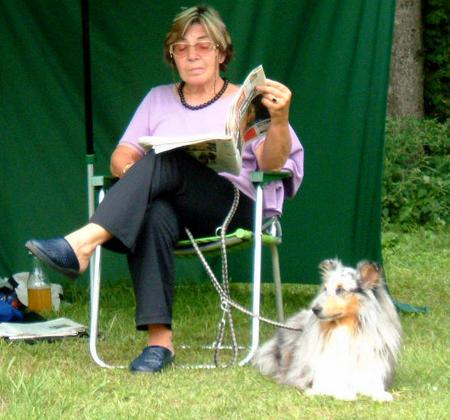 Sheltie Hunde Foto 821 Sheltie Enzo vom Rindsberg aufgenommen beim 1. European Agility Open 2002 in Graz