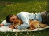 Shiba Foto: Aika und Andi (ID 45943) Shiba Hund