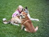 Shiba Foto: Zobel mit Akita Inu (ID 26556) Shiba Hund