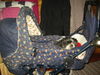Shih Tzu Foto: ...hier kann man in Ruhe schnarchen...Monti (ID 27776) Shih Tzu Hund