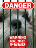Shih Tzu Foto: Timmy das gefährliche Raubtier (ID 28053) Shih Tzu Hund