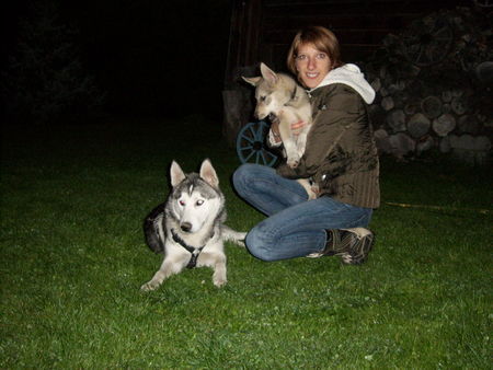 Siberian Husky Steffi mit Rocky und Mexx