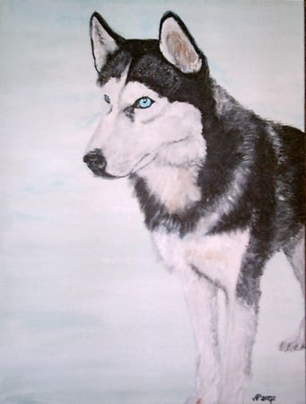 Siberian Husky Arktic, 16 Jahre, Acryl auf Leinwand